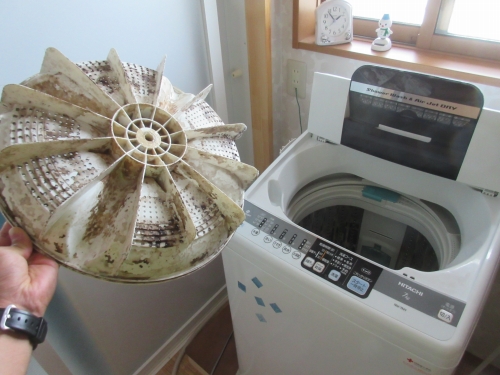 Washing machine cleaning (1)